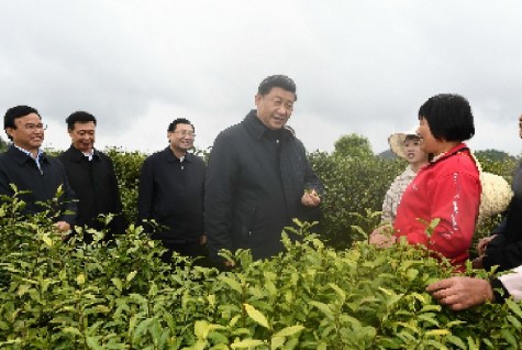 扎实做好“六稳”工作落实“六保”任务 奋力谱写陕西新时代追赶超越新篇章
