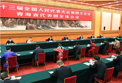 习近平在参加青海代表团审议时强调 坚定不移走高质量发展之路坚定不移增进民生福祉