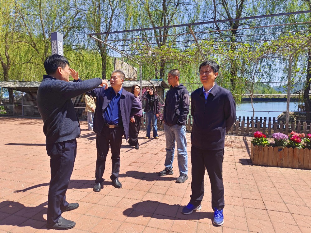 踏遍青山寻良策　点亮民宿富万家 市人大民侨外委深入一线调研我市民宿行业发展情况